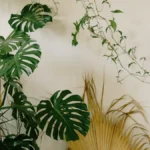 How to Create a Boho-Chic Home Décor with Crafting