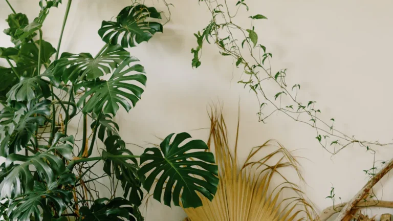 How to Create a Boho-Chic Home Décor with Crafting